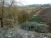 Сад Подлесной Натальи