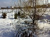 Сад Подлесной Натальи