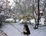 Сад Елисеевой Елены