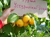Сад Железова В.К.