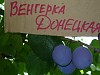 Сад Железова В.К.