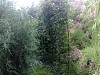 Сад Подлесной Натальи
