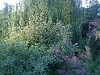 Сад Подлесной Натальи