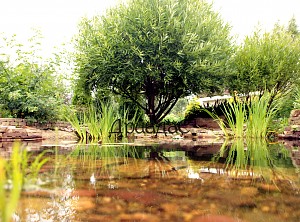 Сделано в ДриадаС