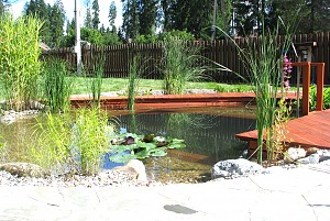 счастливое детство