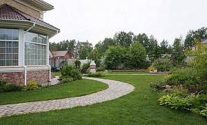 Просторная поляна