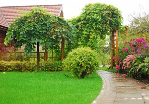 тихая красота