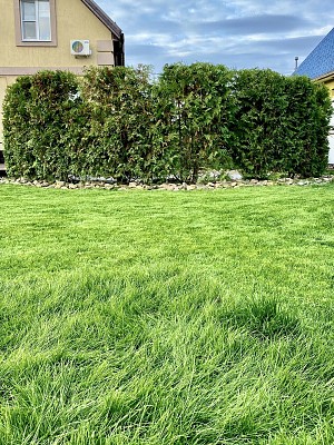 Иваново 2018г.