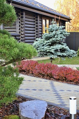 2018г. Яркий сад