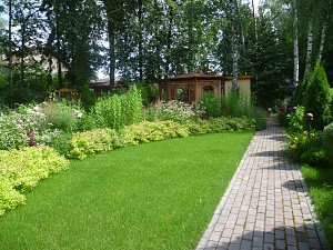 солнечная лужайка