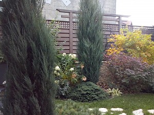 Сад на трех сотках